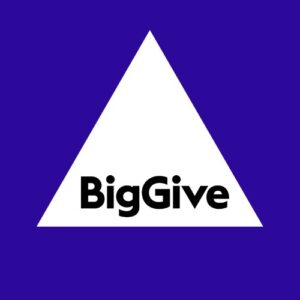 Big Give Logo Big Give Logo, blue background with white triangle and Big Give inside the triangle